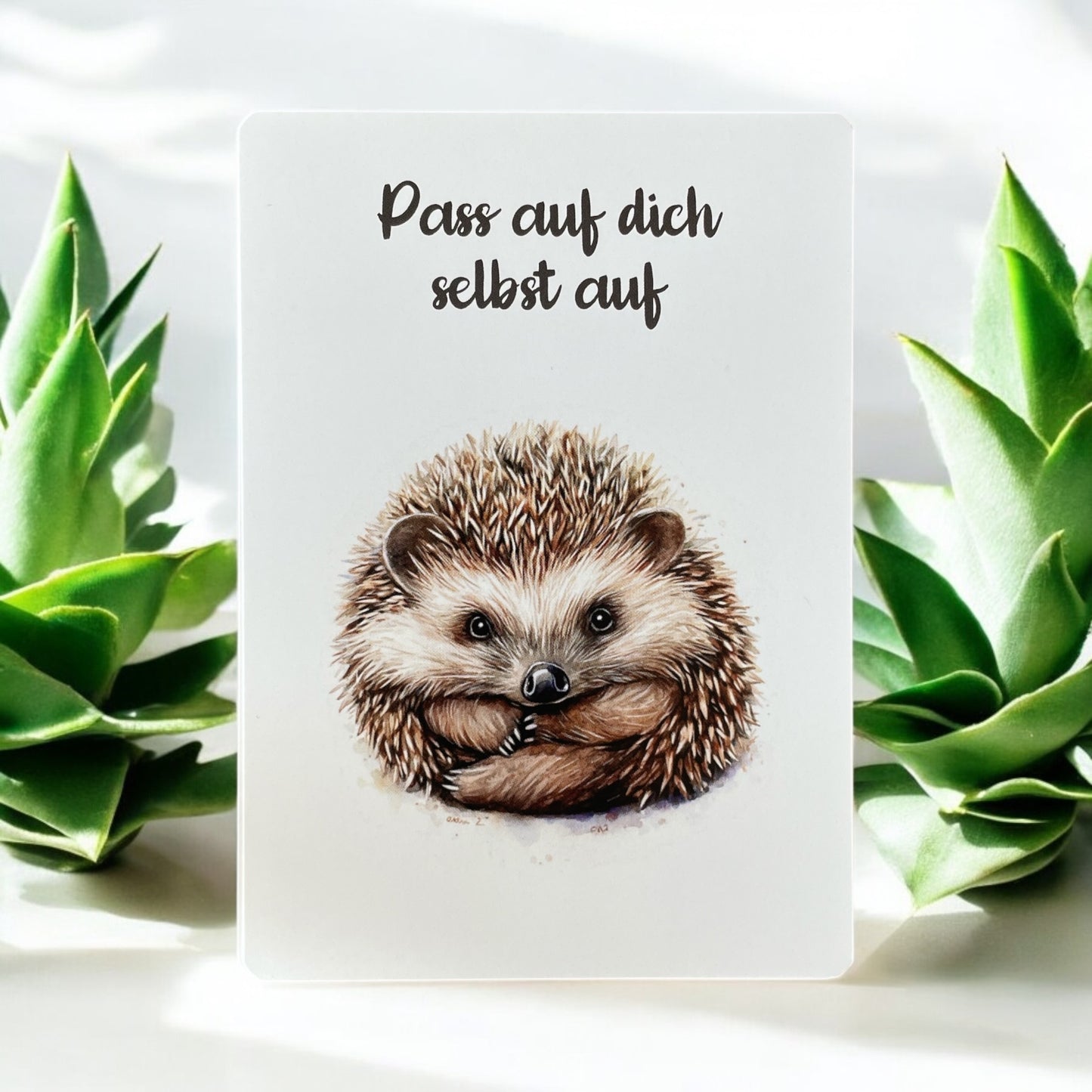 Pass auf dich auf Igel